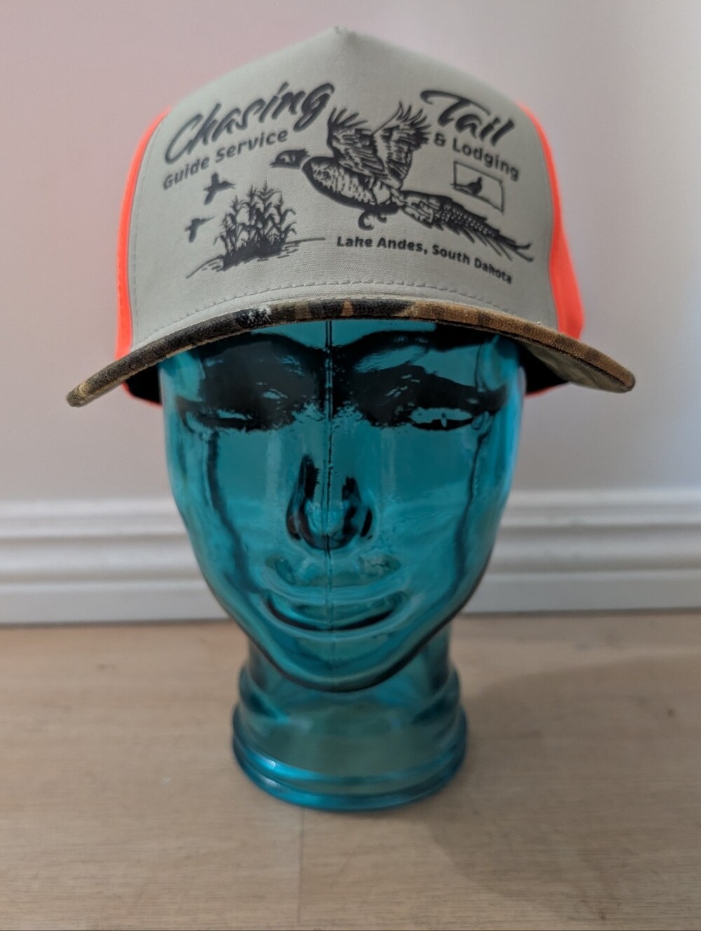 Aquarius Chasing Tail Snapback